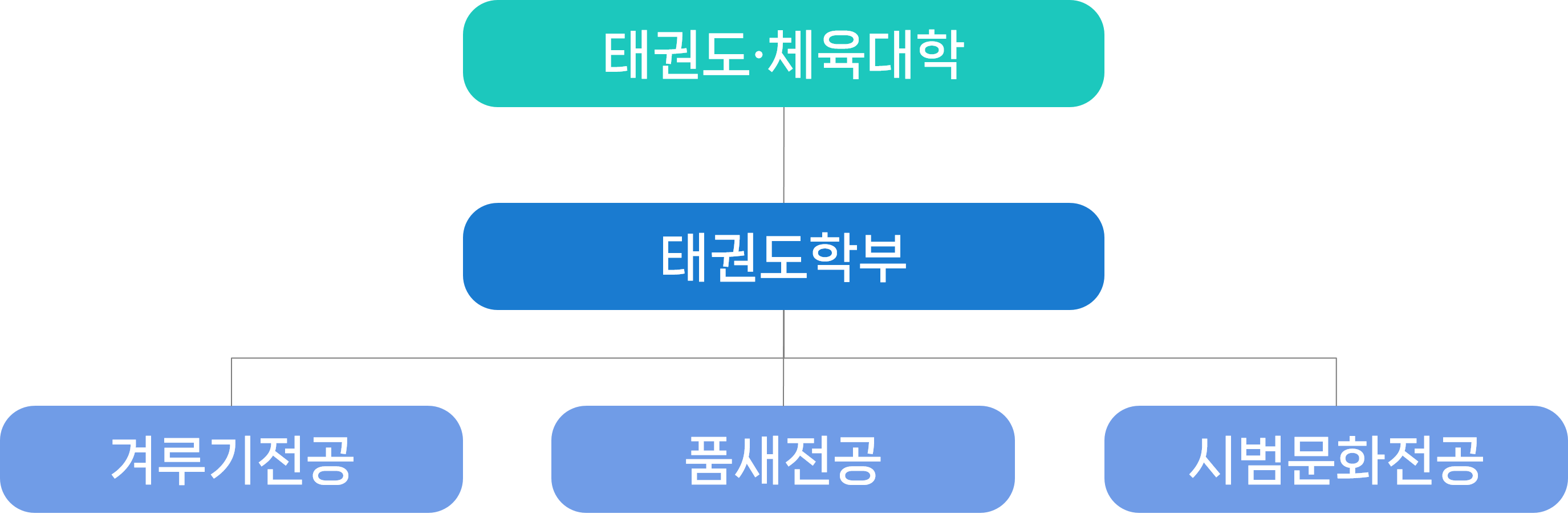 전공현황